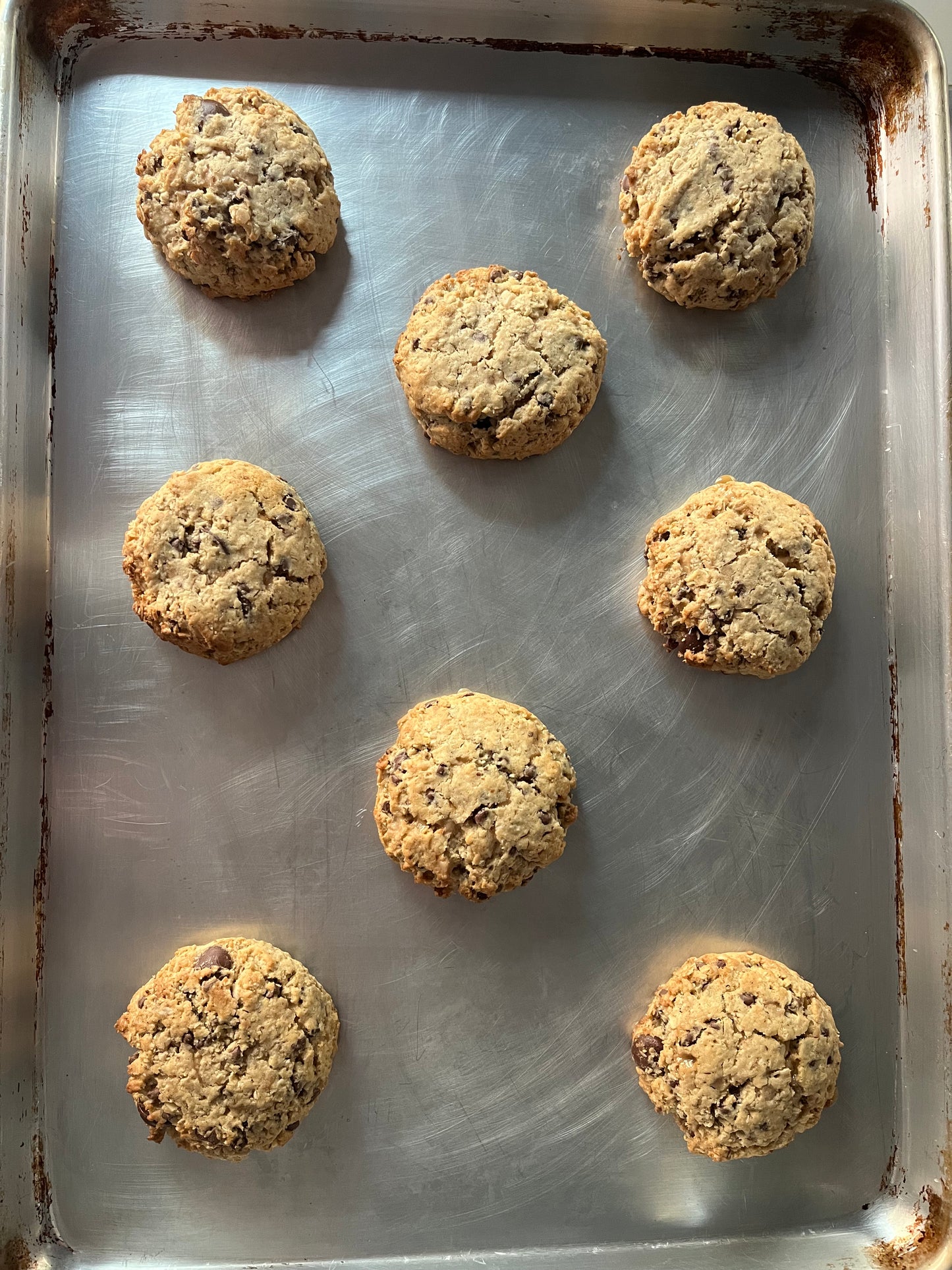 Lactation Cookies