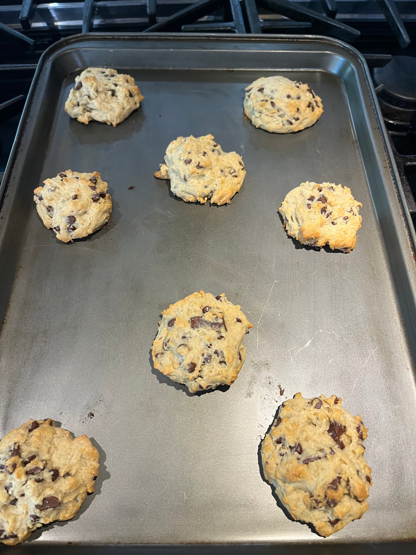 Vegan Chocolate Chip Cookie